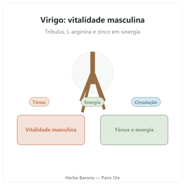 Virigo – Distriform' – 60 cápsulas – Vitalidade Masculina apresentação Paris Herba Barona