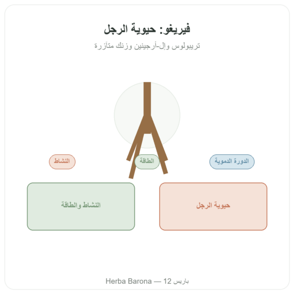 فيريغو – Distriform' – 60 كبسولة – حيوية رجالية عرض المنتج Paris Herba Barona