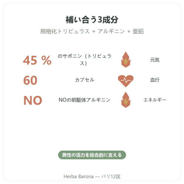 Virigo – Distriform’ – 60カプセル – 男性の活力 benefits and key facts Paris Herba Barona
