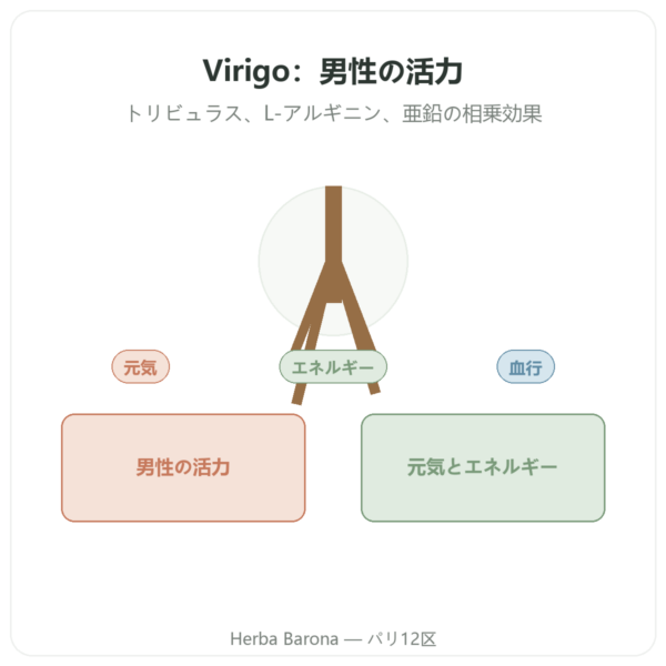 Virigo – Distriform’ – 60カプセル – 男性の活力 presentation Paris Herba Barona