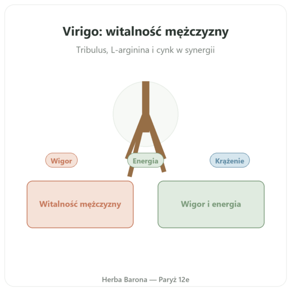 Virigo – Distriform' – 60 kapsułek – Witalność męska prezentacja Paris Herba Barona