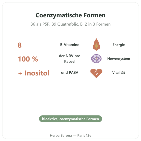 Vitamin-B-Komplex Multi B – Dynveo – 60 Kapseln Vorteile und Fakten Paris Herba Barona
