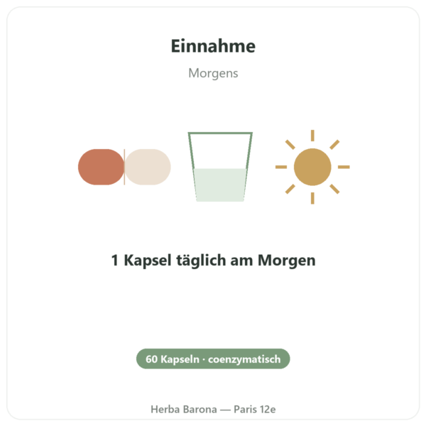 Vitamin-B-Komplex Multi B – Dynveo – 60 Kapseln Anwendung und Dosierung Paris Herba Barona