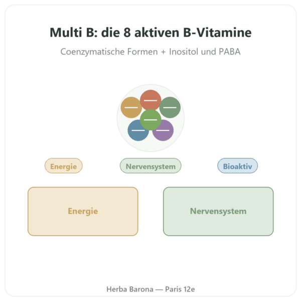 Vitamin-B-Komplex Multi B – Dynveo – 60 Kapseln Vorstellung Paris Herba Barona