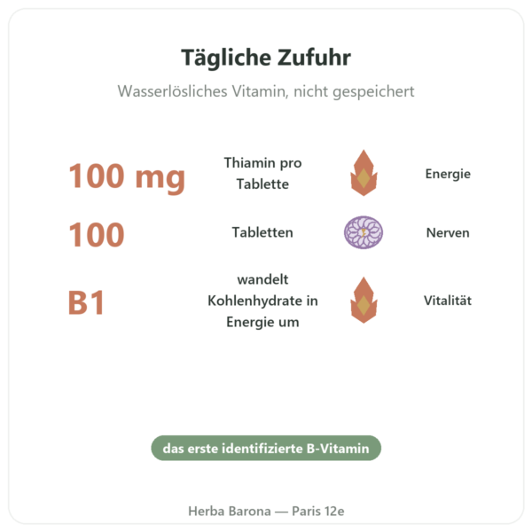 Vitamin B1 Thiamin – Now Foods – 100 mg – 100 Tabletten Vorteile und Fakten Paris Herba Barona