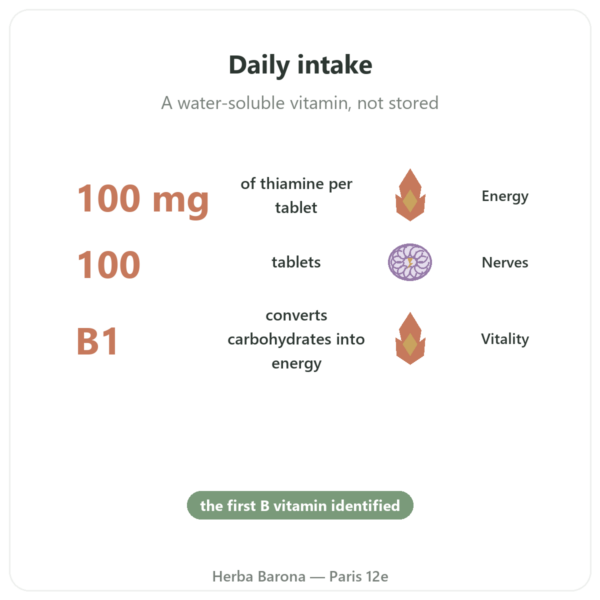 Vitamin B1 Thiamine - Now Foods - 100mg - 100 Tablets benefits and key facts Paris Herba Barona