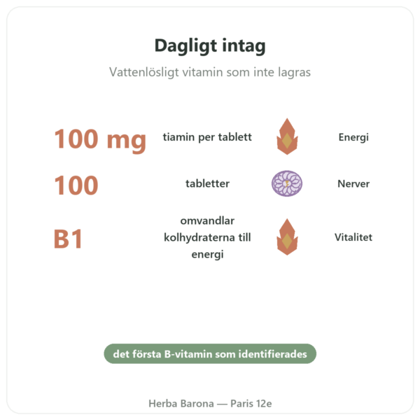 Vitamin B1 Tiamin – Now Foods – 100 mg – 100 tabletter fördelar och nyckelfakta Paris Herba Barona