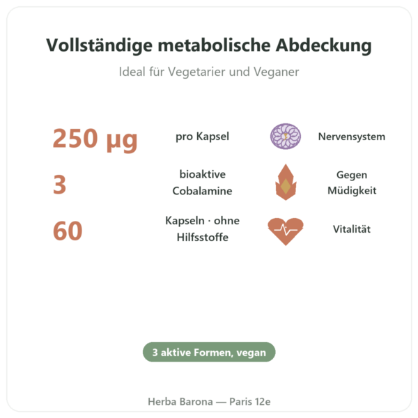 Vitamin B12 3 aktive Formen – Dynveo – 250 µg – 60 Kapseln Vorteile und Fakten Paris Herba Barona