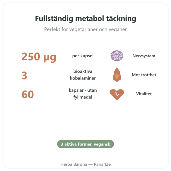 B12-vitamin Dynveo 60 kapslar 250 ug 3 aktiva former fördelar och nyckelfakta Paris Herba Barona