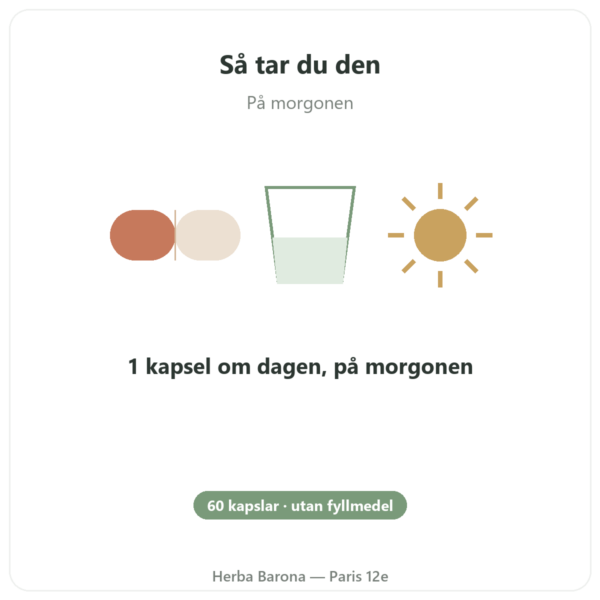 B12-vitamin Dynveo 60 kapslar 250 ug 3 aktiva former användning och dosering Paris Herba Barona