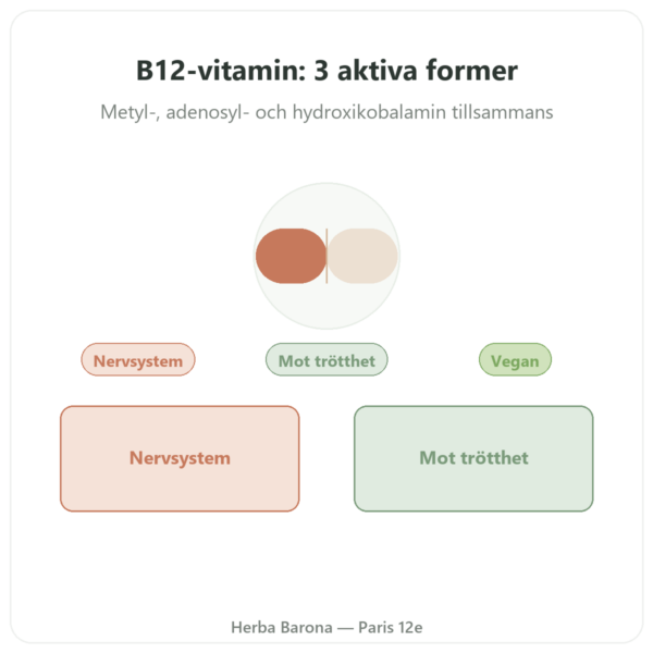 B12-vitamin Dynveo 60 kapslar 250 ug 3 aktiva former presentation Paris Herba Barona