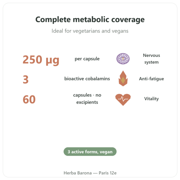 Vitamin B12 – Dynveo – 60 Capsules – 250µg, 3 Active Forms benefits and key facts Paris Herba Barona