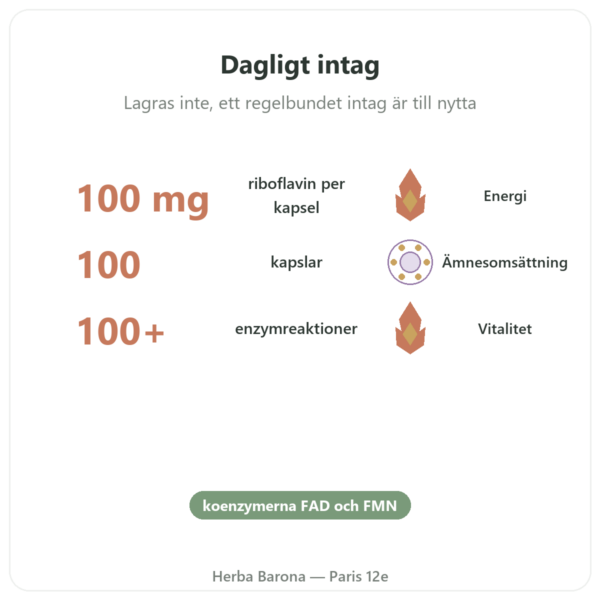 Vitamin B2 Riboflavin Now Foods 100 mg 100 kapslar fördelar och nyckelfakta Paris Herba Barona
