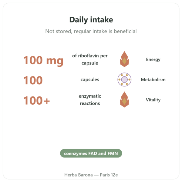 Vitamin B2 Riboflavin - Now Foods - 100mg - 100 Capsules benefits and key facts Paris Herba Barona