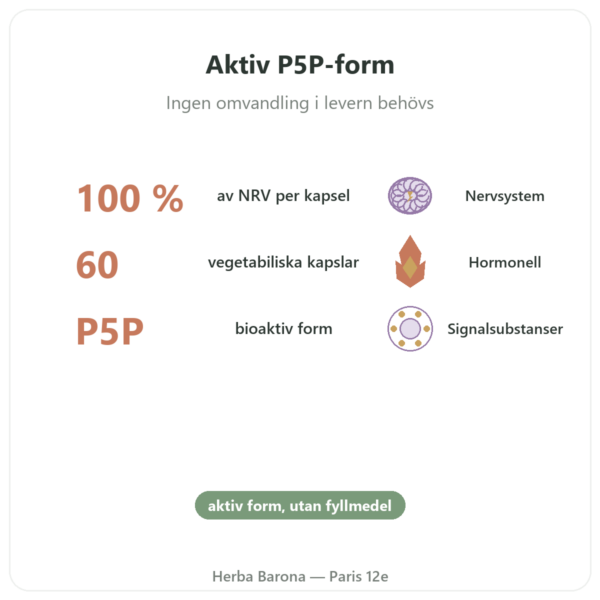 Vitamin B6 – Pyridoxal-5-fosfat (P5P) – Dynveo – 60 kapslar fördelar och nyckelfakta Paris Herba Barona