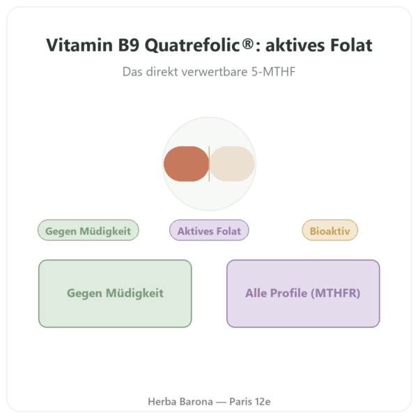 Vitamin B9 Quatrefolic® – Dynveo – 200 µg – 60 Kapseln Vorstellung Paris Herba Barona