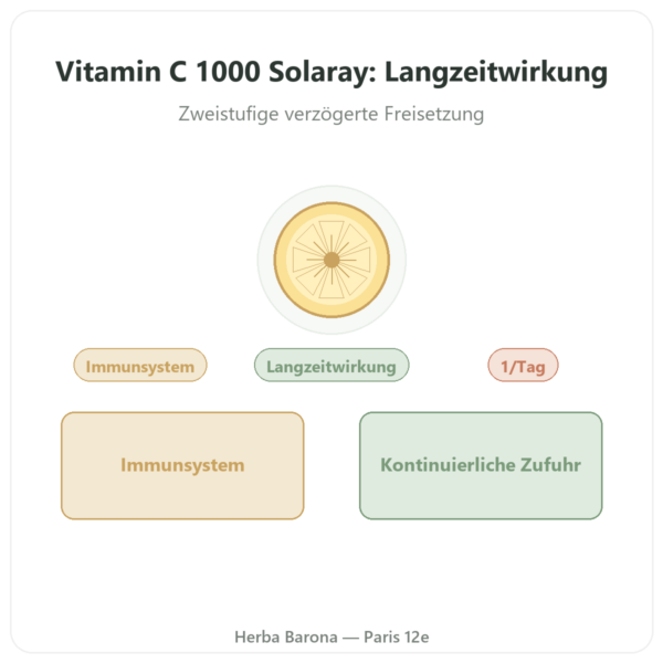 Vitamin C 1000 mg Solaray Depot – 100 Tabletten Vorstellung Paris Herba Barona