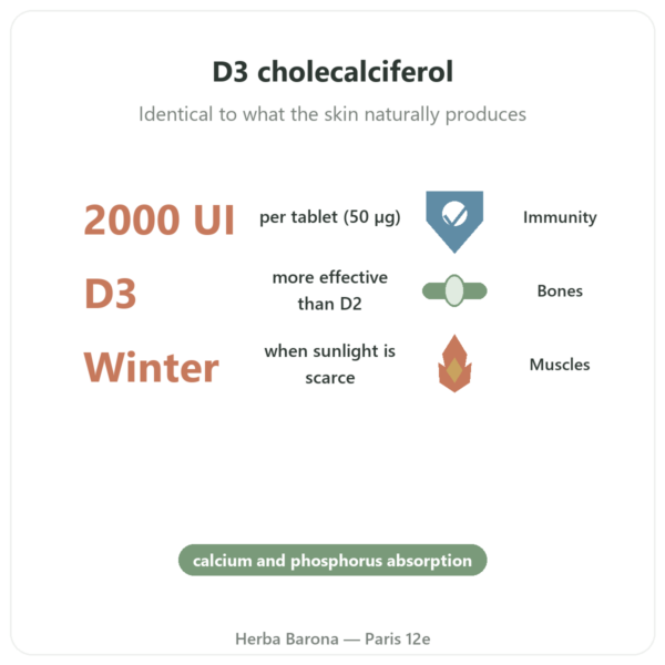Vitamin D3 FORTE – 2000 IU – Dr Jacob's benefits and key facts Paris Herba Barona