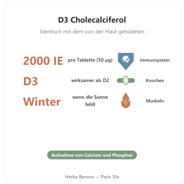 Vitamin D3 FORTE – 2000 I.E. – Dr. Jacob's Vorteile und Fakten Paris Herba Barona