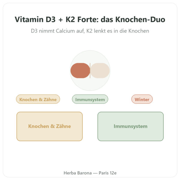 Vitamin D3 K2 FORTE – 2000 I.E. – DR. JACOB'S Vorstellung Paris Herba Barona