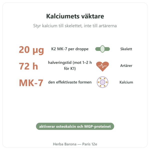 Vitamin K2 MK-7 Droppar – Dr Jacob's – 20 µg/droppe fördelar och nyckelfakta Paris Herba Barona