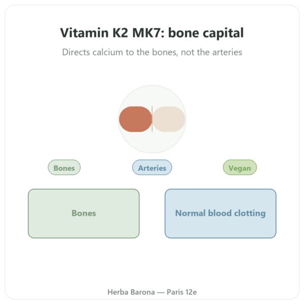 Vitamin K2 MK7 80µg – Dynveo – 60 capsules presentation Paris Herba Barona