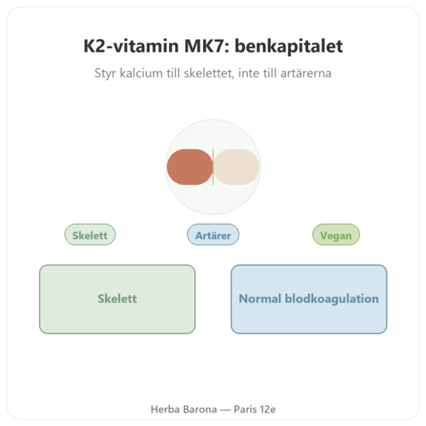 Vitamin K2 MK7 – 80 µg – Dynveo – 60 kapslar presentation Paris Herba Barona