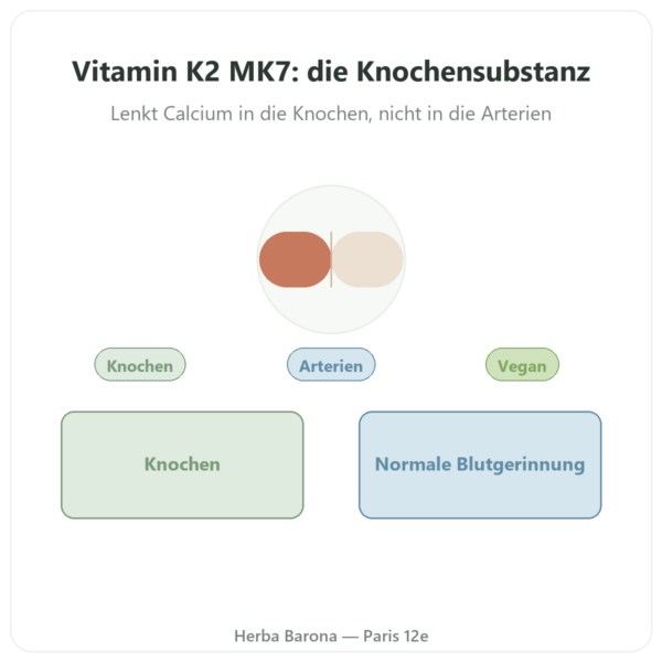 Vitamin K2 MK7 – Dynveo – 80 µg – 60 Kapseln Vorstellung Paris Herba Barona