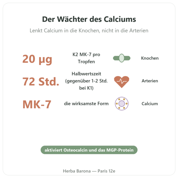 Vitamin K2 MK-7 Tropfen – Dr. Jacob's – 20 µg/Tropfen Vorteile und Fakten Paris Herba Barona