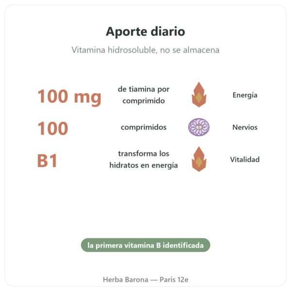 Vitamina B-1 Tiamina – Now Foods – 100 mg – 100 Comprimidos beneficios y datos clave Paris Herba Barona