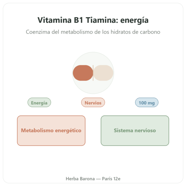 Vitamina B-1 Tiamina – Now Foods – 100 mg – 100 Comprimidos presentación Paris Herba Barona