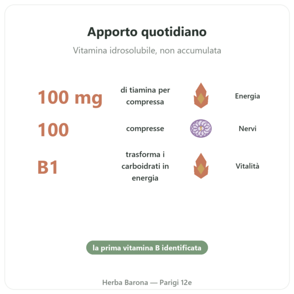 Vitamina B-1 Tiamina – Now Foods – 100mg – 100 Compresse benefici e dati chiave Paris Herba Barona