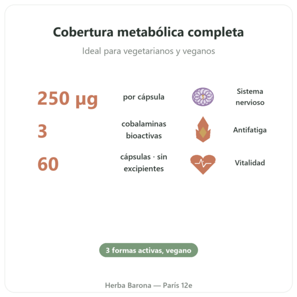 Vitamina B12 Dynveo 60 cápsulas 250µg – 3 formas activas beneficios y datos clave Paris Herba Barona