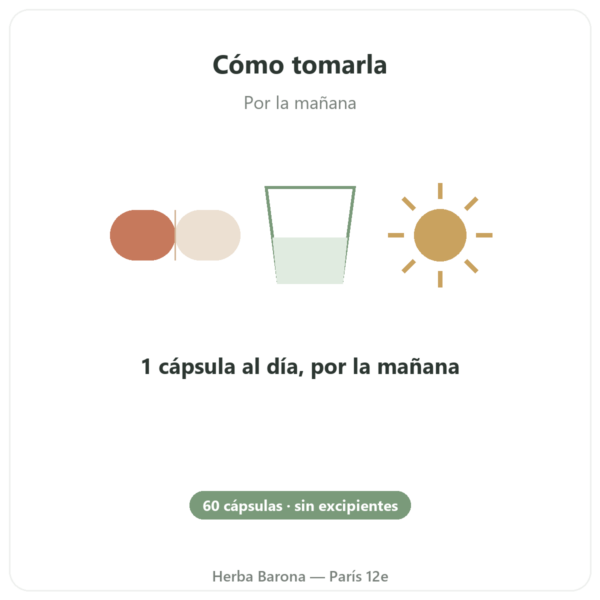Vitamina B12 Dynveo 60 cápsulas 250µg – 3 formas activas modo de empleo y dosis Paris Herba Barona