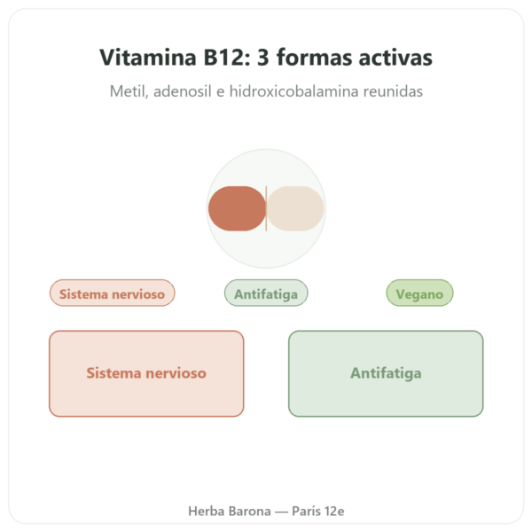 Vitamina B12 Dynveo 60 cápsulas 250µg – 3 formas activas presentación Paris Herba Barona