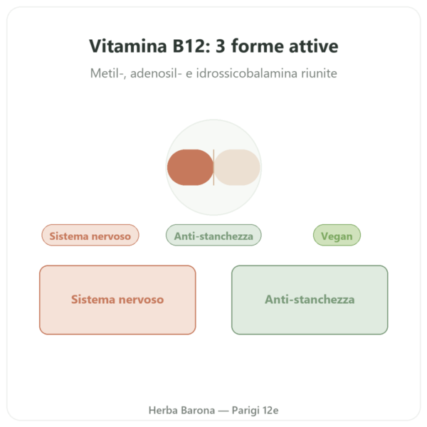 Vitamina B12 Dynveo 60 capsule 250µg 3 forme attive presentazione Paris Herba Barona