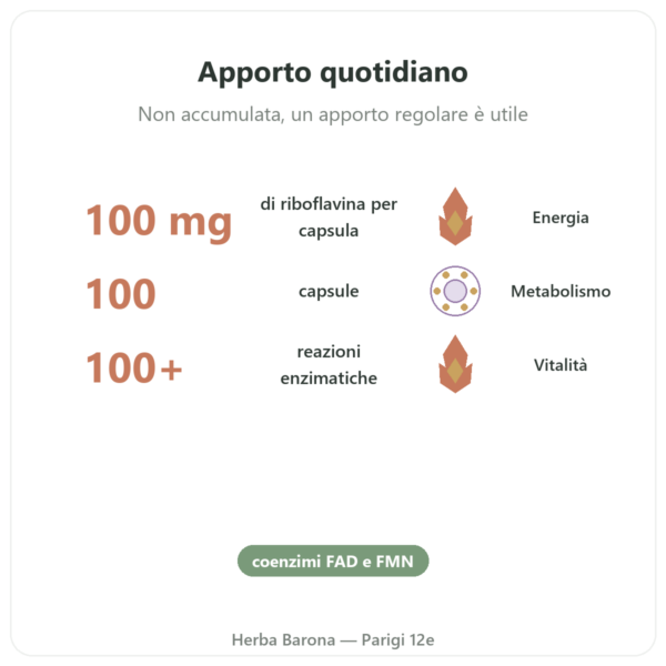 Vitamina B2 Riboflavina Now Foods 100mg 100 capsule benefici e dati chiave Paris Herba Barona