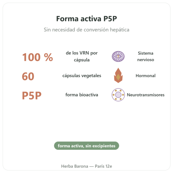 Vitamina B6 – Piridoxal 5-fosfato (P5P) – Dynveo – 60 cápsulas beneficios y datos clave Paris Herba Barona