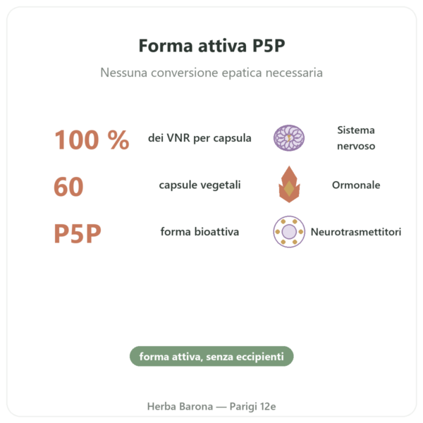 Vitamina B6 – Piridossal 5-fosfato (P5P) – Dynveo – 60 capsule benefici e dati chiave Paris Herba Barona