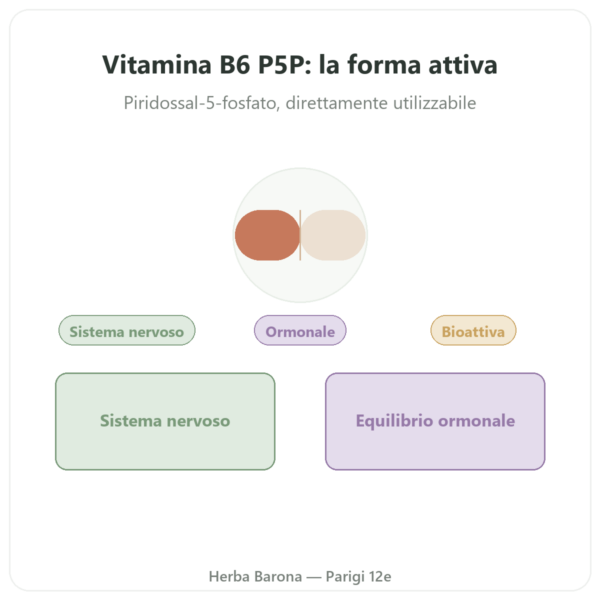 Vitamina B6 – Piridossal 5-fosfato (P5P) – Dynveo – 60 capsule presentazione Paris Herba Barona