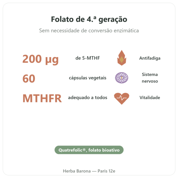 Vitamina B9 Quatrefolic Dynveo 200µg – 60 cápsulas benefícios e dados principais Paris Herba Barona