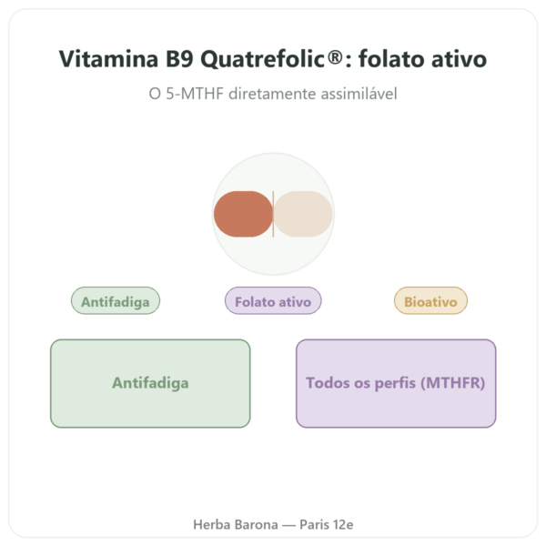Vitamina B9 Quatrefolic Dynveo 200µg – 60 cápsulas apresentação Paris Herba Barona