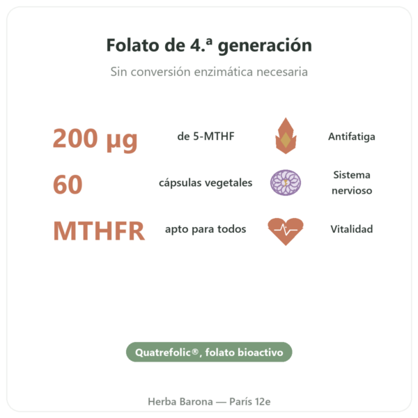 Vitamina B9 Quatrefolic Dynveo 200µg – 60 cápsulas beneficios y datos clave Paris Herba Barona