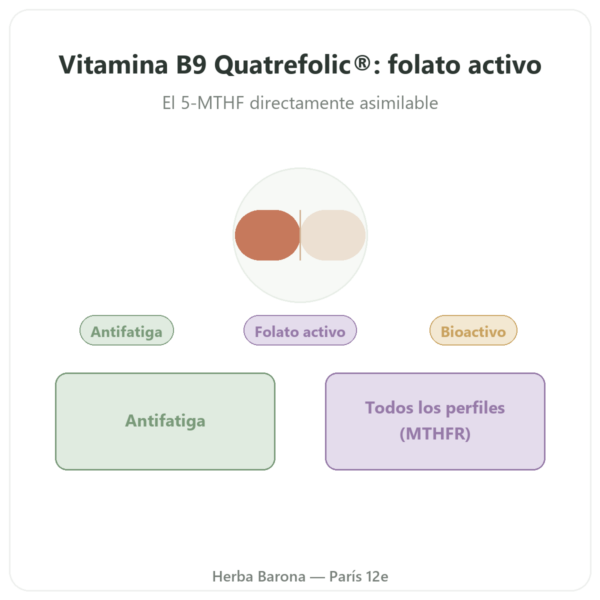 Vitamina B9 Quatrefolic Dynveo 200µg – 60 cápsulas presentación Paris Herba Barona