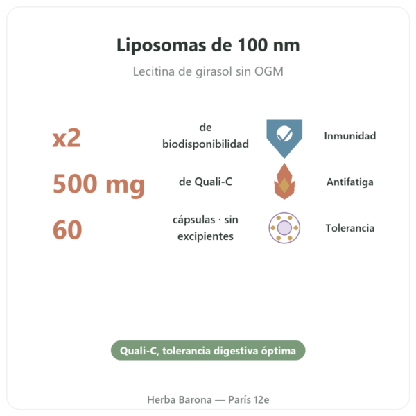 Vitamina C liposomal – 60 cápsulas – Dynveo beneficios y datos clave Paris Herba Barona