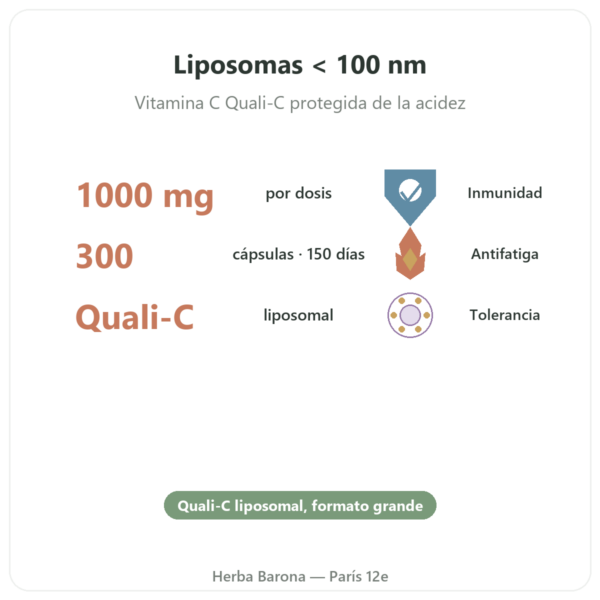 Vitamina C Liposomal Dynveo – 300 cápsulas beneficios y datos clave Paris Herba Barona