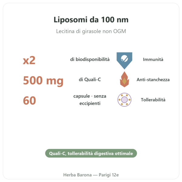 Vitamina C liposomiale – 60 capsule – Dynveo benefici e dati chiave Paris Herba Barona