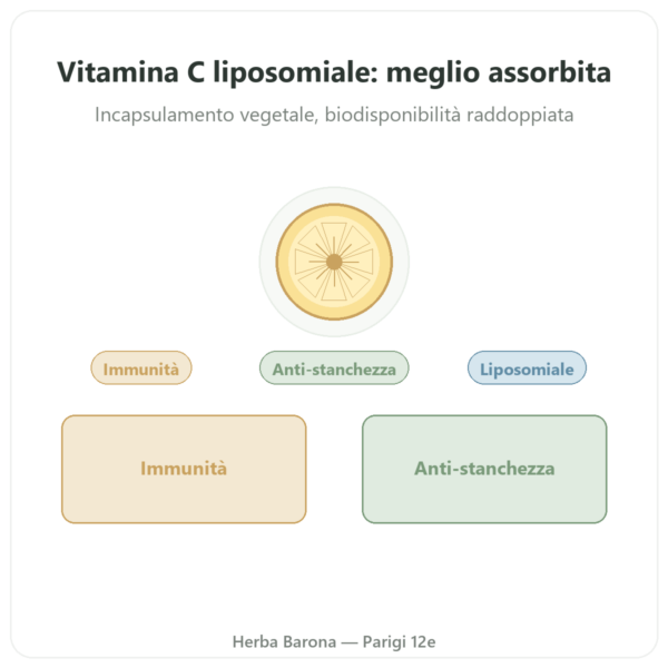 Vitamina C liposomiale – 60 capsule – Dynveo presentazione Paris Herba Barona