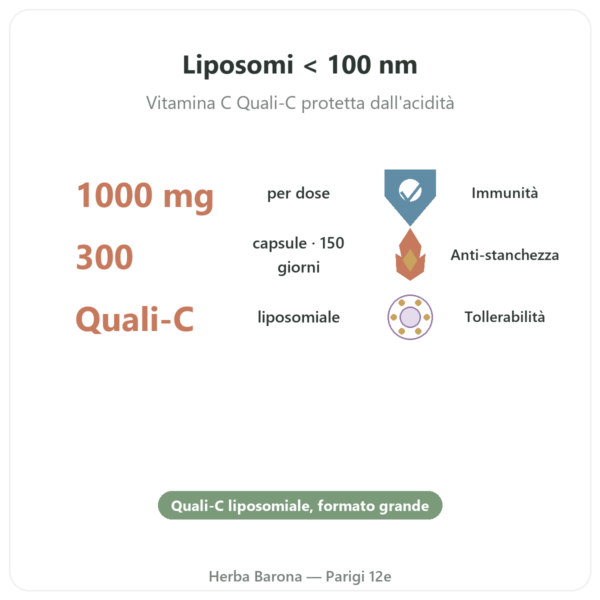 Vitamina C Liposomiale Dynveo – 300 capsule benefici e dati chiave Paris Herba Barona
