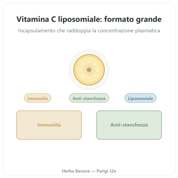 Vitamina C Liposomiale Dynveo – 300 capsule presentazione Paris Herba Barona
